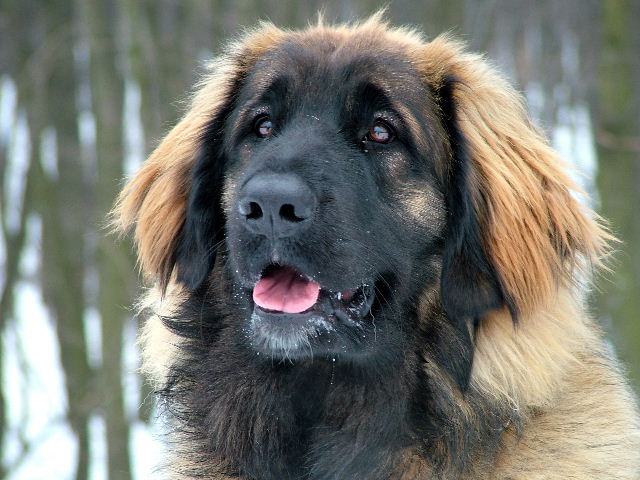 Neverending-Story v. Sissy-Haus 