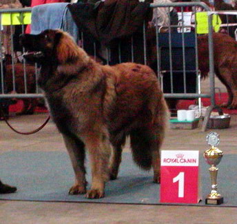 Neverending-Story v. Sissy-Haus - Jugendsieger M�nchen