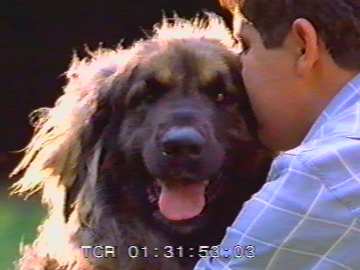 Aphrodite v. Sissy-Haus