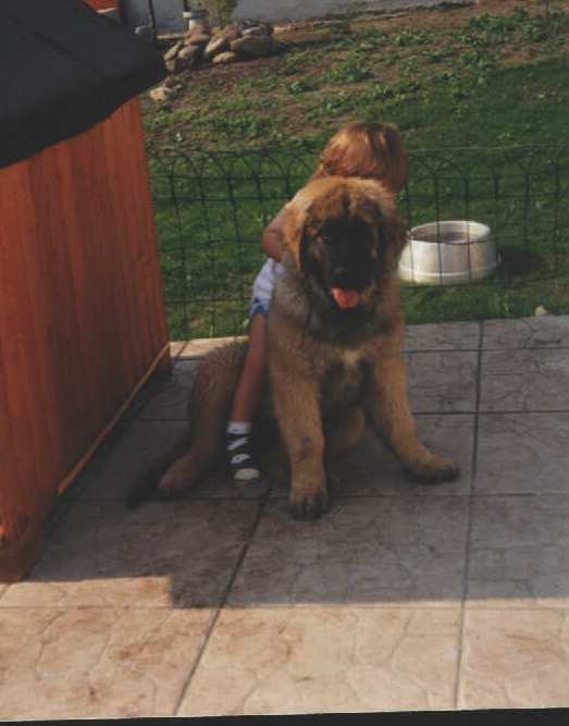 Banja v. Sissy-Haus "DINA"