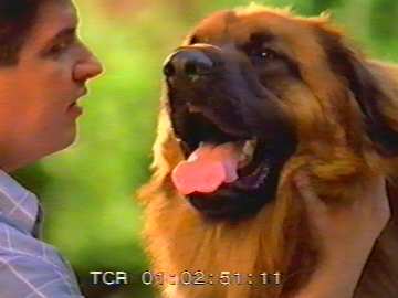 Baldur v. Sissy-Haus