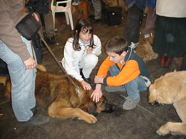 Baldur v. Sissy-Haus