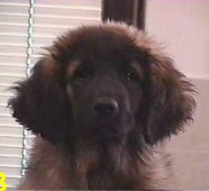 Indian-Summer v. Sissy-Haus