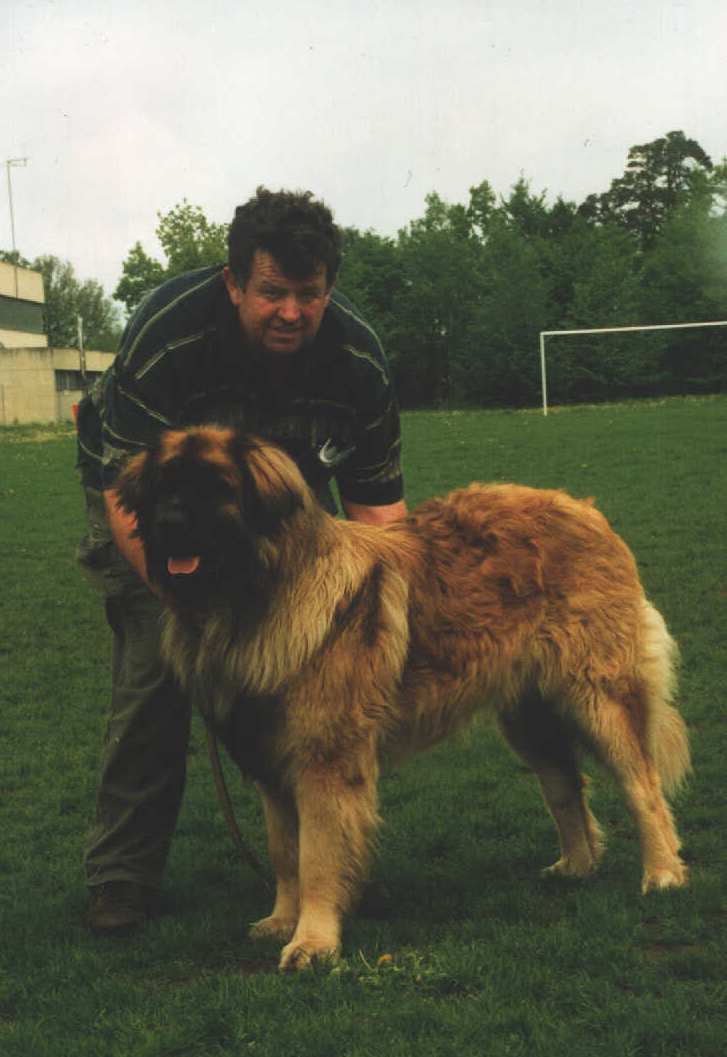 Dragongarden �mir vor Welland