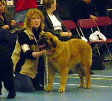 Omega's second win - Best Puppy again !