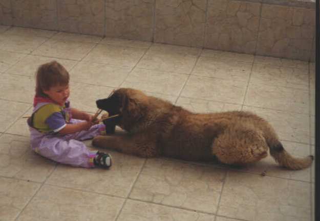 Sissy-Haus leonberger
