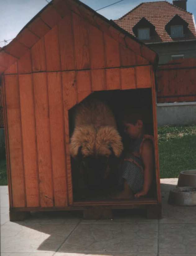 Sissy-Haus leonberger