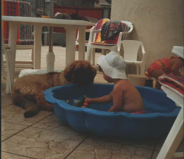 Sissy-Haus leonberger