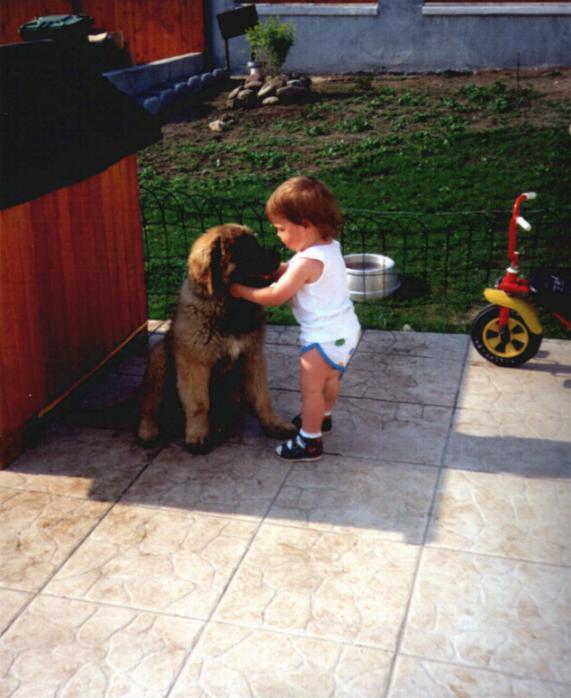 Sissy-Haus leonberger