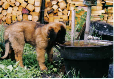 it's nice to drink here