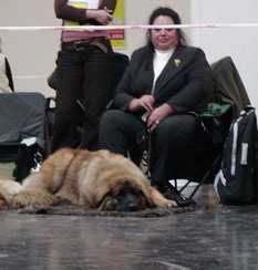 it's a little bit boring here