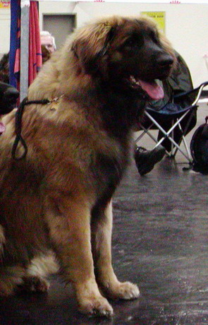 Nepomuk v. Sissy-Haus