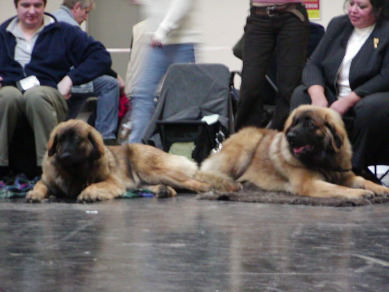 we both did very well