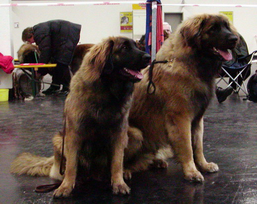 are we not nice together?