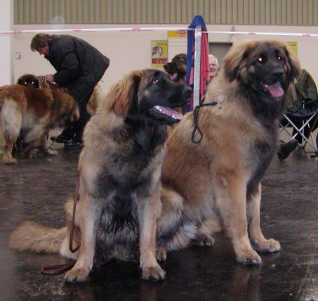 it was a great day  !