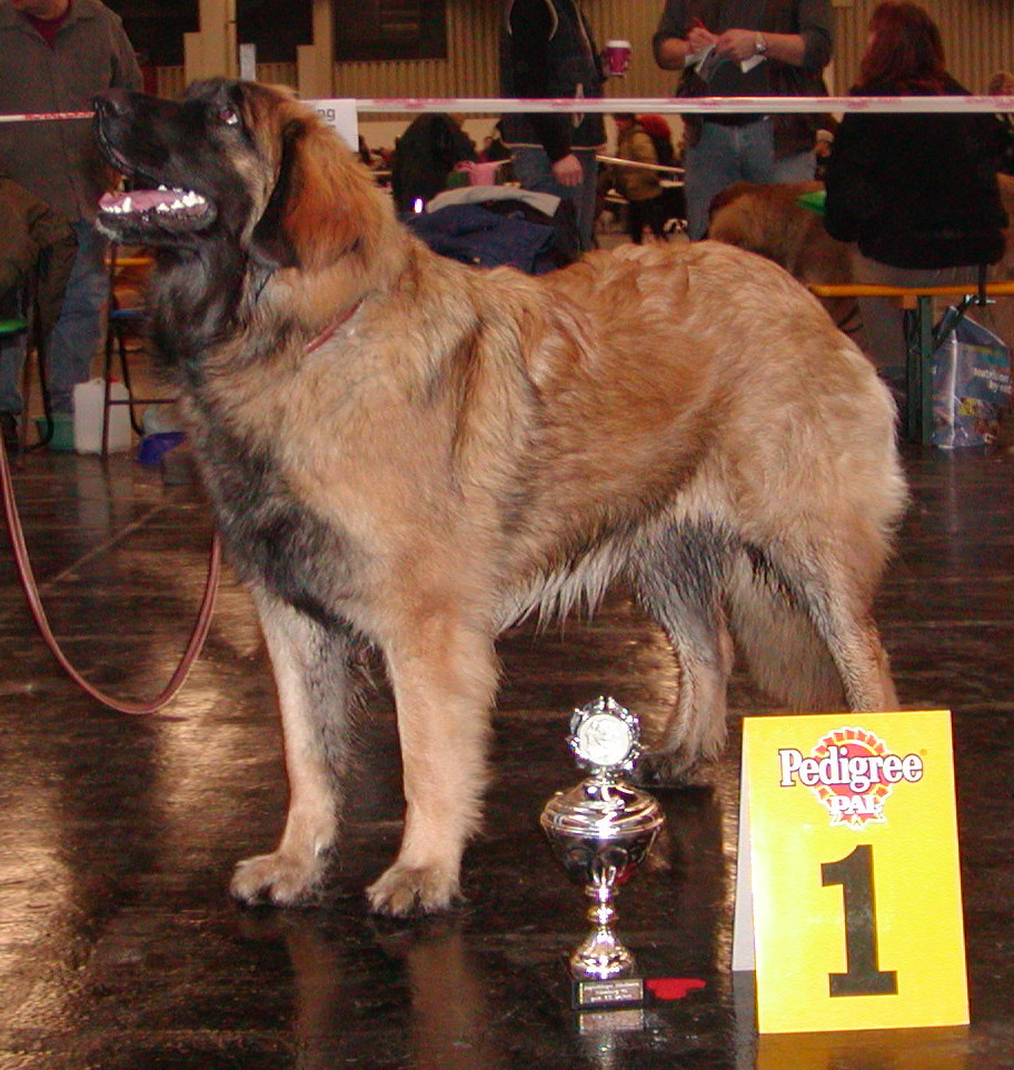 Neverending-Story  - Winner youth class