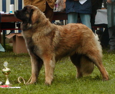 LG-Jugendsieger Bayern 2005