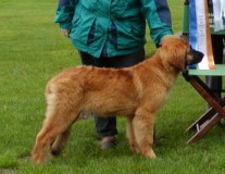 Oonagh v. Sissy-Haus  - USA