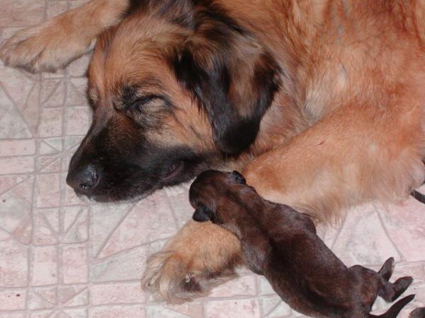 click here to see the fotoalbum !