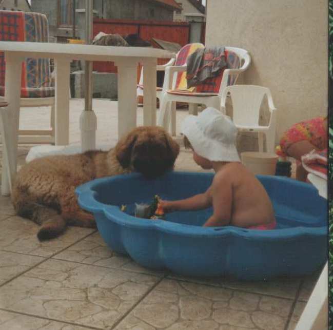 Banja (DINA) -Leonberger Sissy-Haus