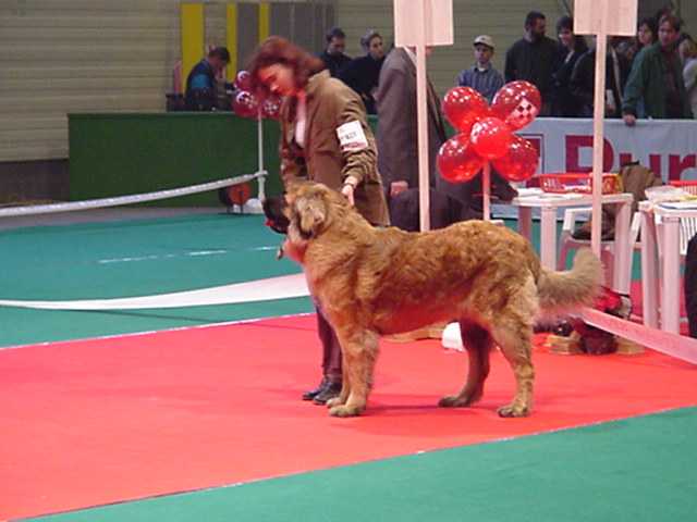 Eddy-L�we v Sissy-Haus