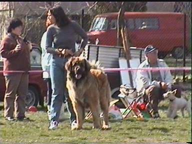 Eddy-L�we v. Sissy-Haus HCLjgSg 2001+ BOB (Eliot Sj� Bj�rnens X �gacska v. Sissy-Haus)