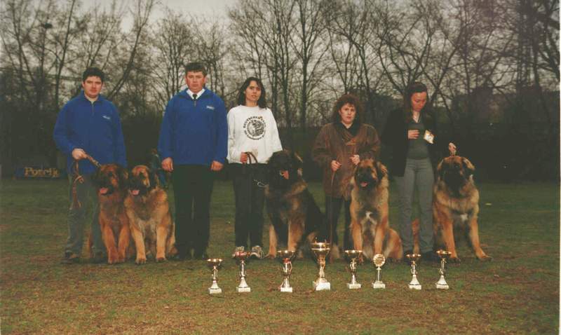 Sissy-Haus Leonberger a Gy�ztes Csapat 2000 (Baldur, Sissy, Aladin, Banja, Cuno)